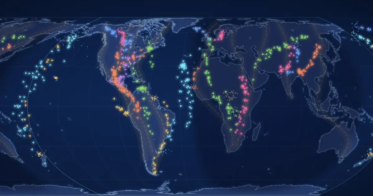 Bird Migration Map: Where the Birds Are Flying Right Now