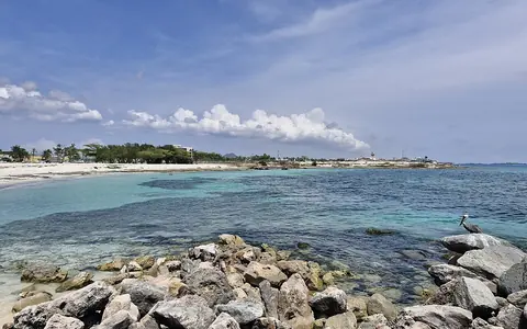 阿鲁巴 海滩 (Aruba beach)