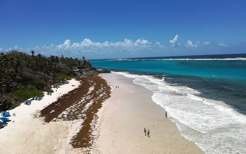 巴巴多斯海岸