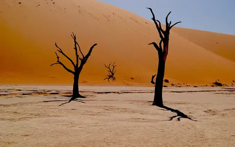 Deadvlei