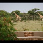 Kambaku Wildlife Reserve, Namibia
