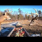 Brownville Food Pantry, Brownville, Maine