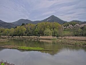 Urdaibai Bird Center, Bizkaia Live Cam, Spain