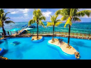 roatan Island honduras live webcam