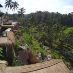 Tegallalang Rice Fields, Bali, Indonesia