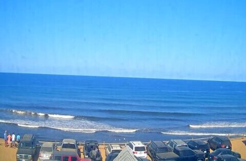 wallfleet massachusetts webcam