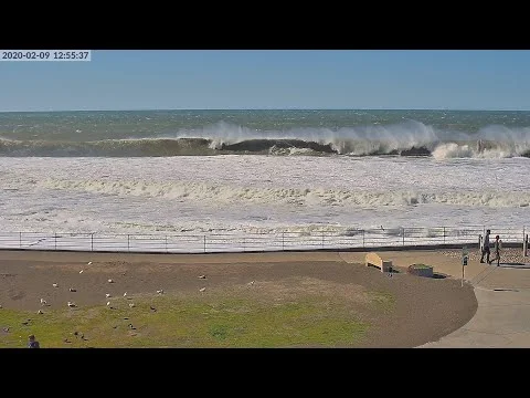 sharp park beach california live webcam