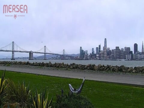 san francisco skyline webcam