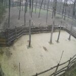 Szeged Zoo, Szeged, Hungary