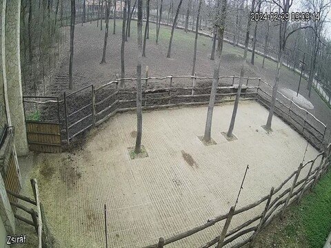 Szeged Zoo, Szeged Live Webcam, Hungary