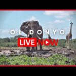 Chyulu Hills National Park, Kenya