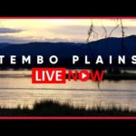 Tembo Plains Camp, Zimbabwe