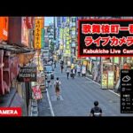 Kabukicho, Tokyo, Japan