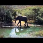 Kwa Maritane, Pilanesberg, South Africa