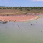 Kamfers Dam, Kimberley, South Africa