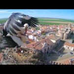 Madrigal de las Altas Torres, Spain