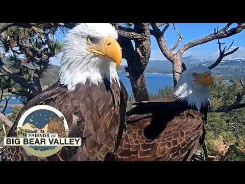 Big Bear Valley, California live webcam