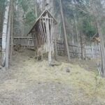 Association Wild Bucovina, Romania