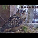 Karula National Park, Estonia