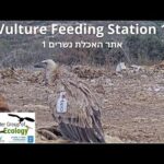 Hula Nature Reserve, Israel