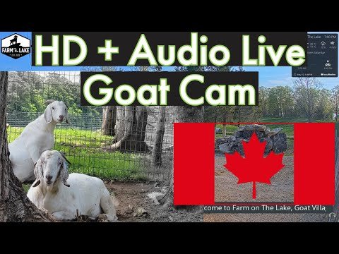 wiarton ontario live webcam canada