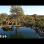 Rosie's Pan, South Africa