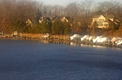 easton maryland webcam