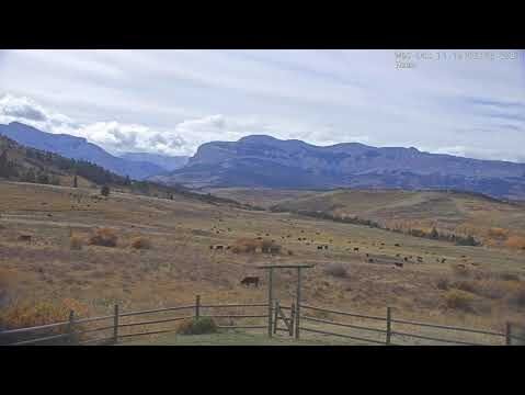 dupuyer live webcam montana