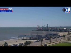 galveston live webcam texas