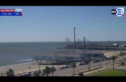 galveston live webcam texas