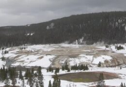 Yellowstone National Park Live Cam – See Geysers in Action