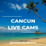 From Sunrise to Sunset: Experience Cancun Live Cams