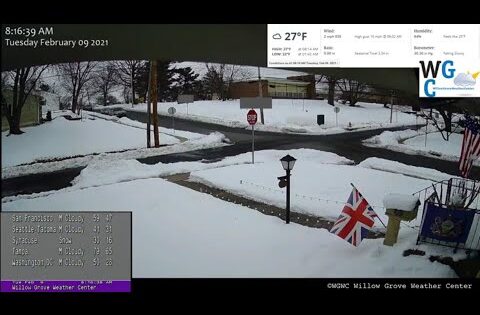 willow grove live cam pennsylvania