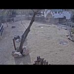 Budapest Zoo, Hungary