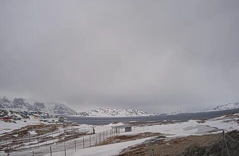 narsaq webcam