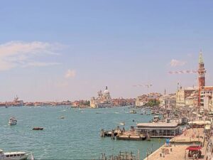 st. mark's basin webcam