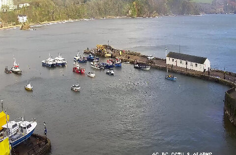 tenby barbou wales live webcam, UK