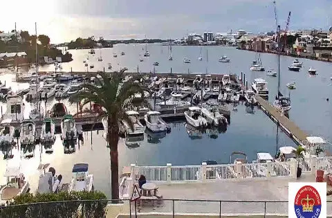 Mangrove Lake webcam, Bermuda