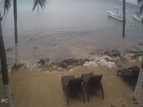 Playa del Carmen live cam, Mexico