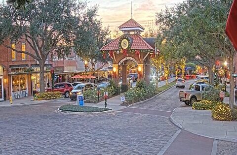 winter garden florida webcam