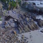 Betty’s Bay, South Africa