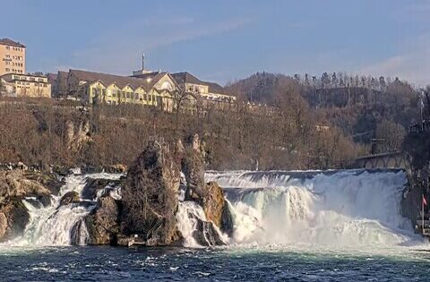 rhine falls webcam