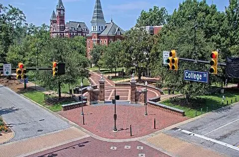 auburn live cam