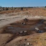 Boteti River, Botswana
