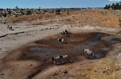 boteti river webcam