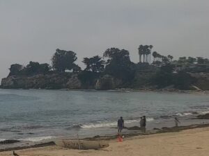 leadbetter beach santa barbara webcam