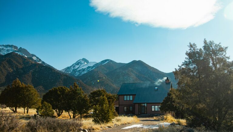 Top 10 Webcams in the United States