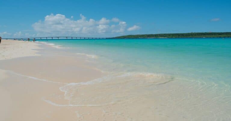 10 Best Beach Webcams You Can Watch Right Now