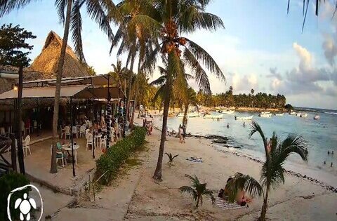 akumal webcam