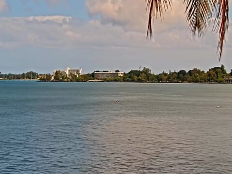 Hilo Bay Webcam – A Real-Time Look at East Hawaii’s Coast